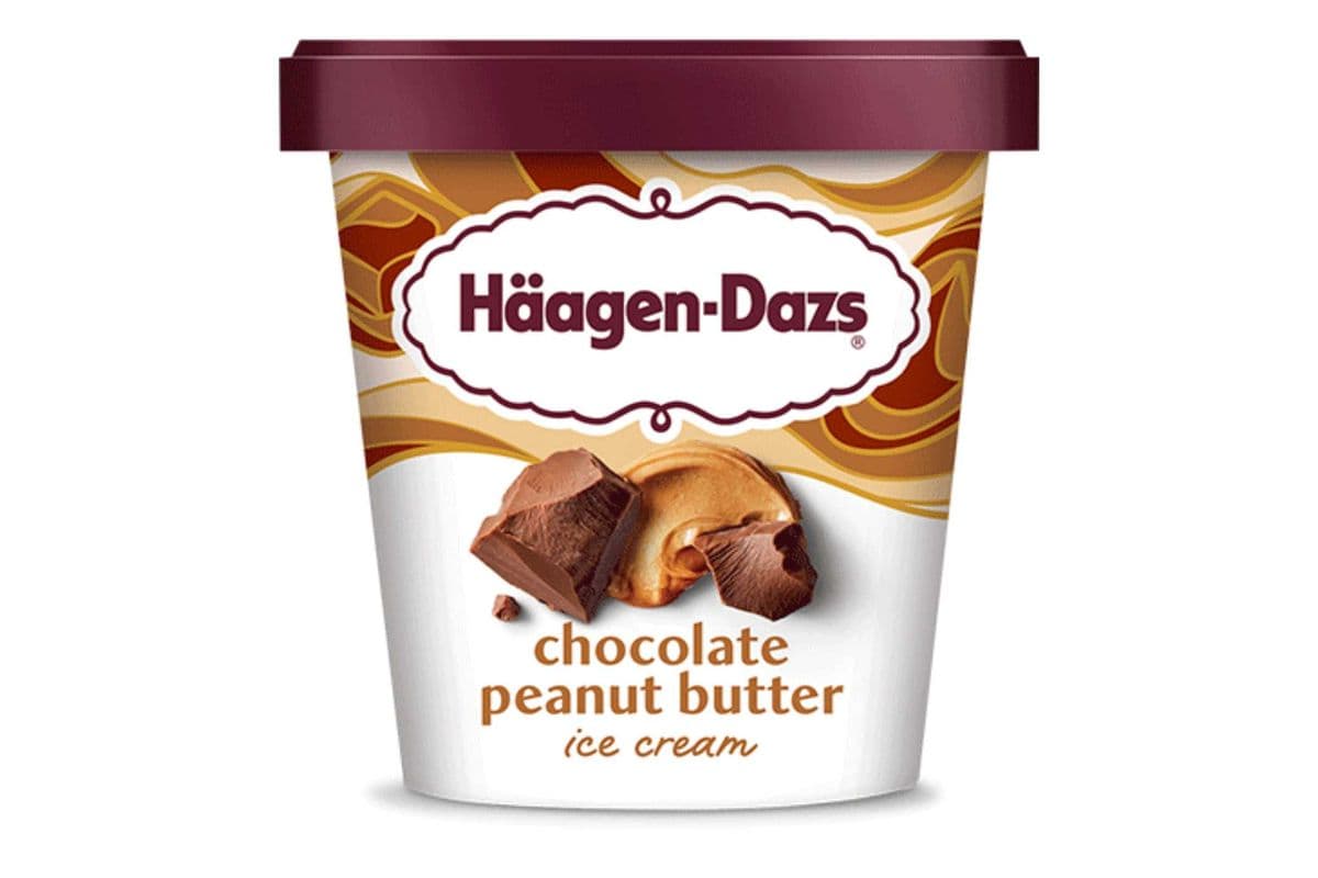 Haagen-Dazs Ice Cream Chocolate Peanut Butter (450 ml)