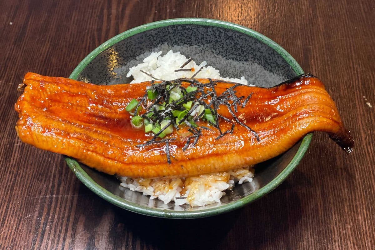 Unagi Don 鰻魚丼飯