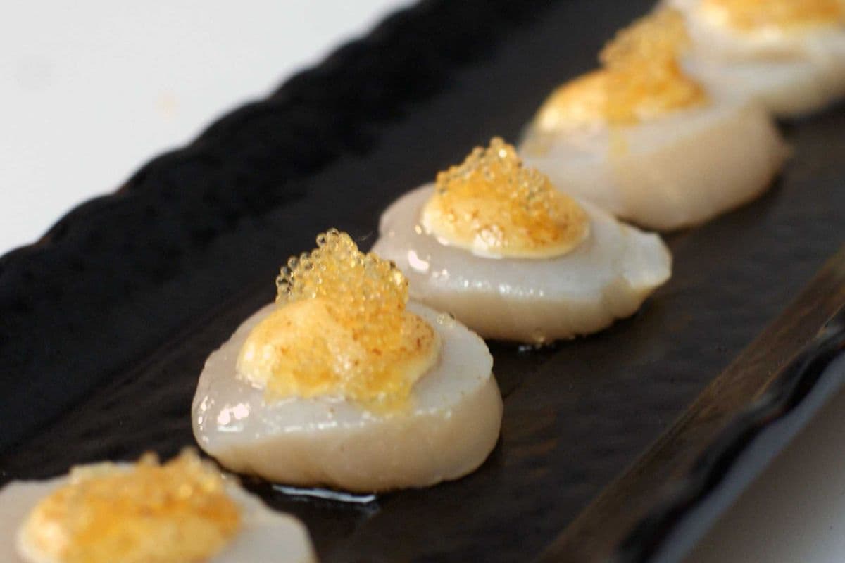 Aburi Scallop