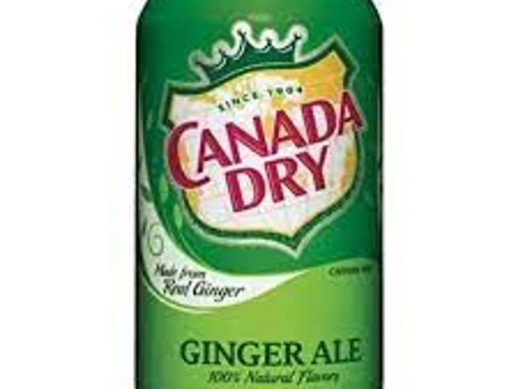 Can- Ginger Ale