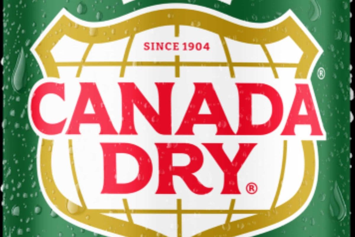 Canned Pop-Coke original/Diet coke/Coke zero/Canada dry Can (355 ml)
