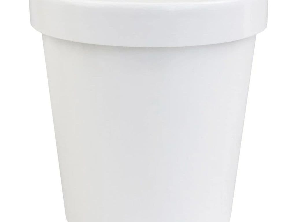 Ice Keem - Vegan Buko (Coconut) Pandan Ice Cream - 5oz