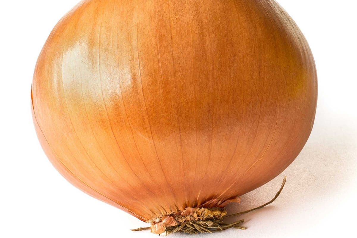 Oignon blanc (1kg)