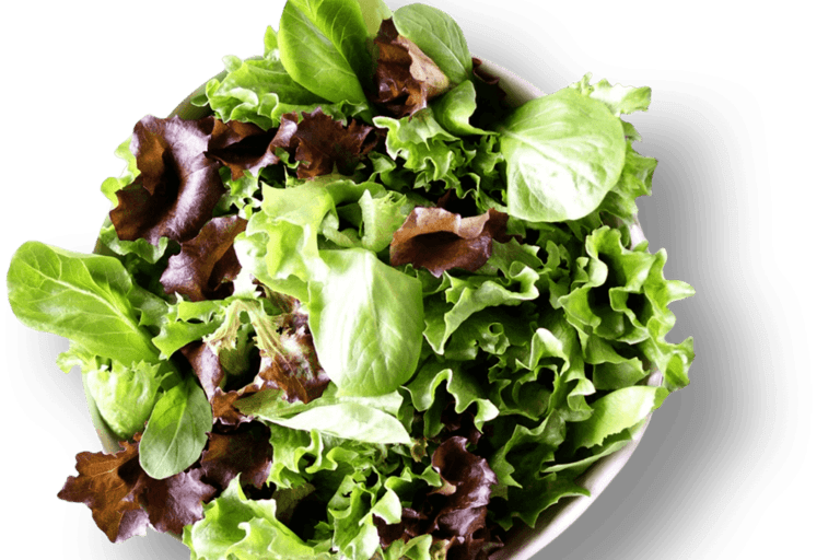 Spring Mix Salad (Vegetarian)