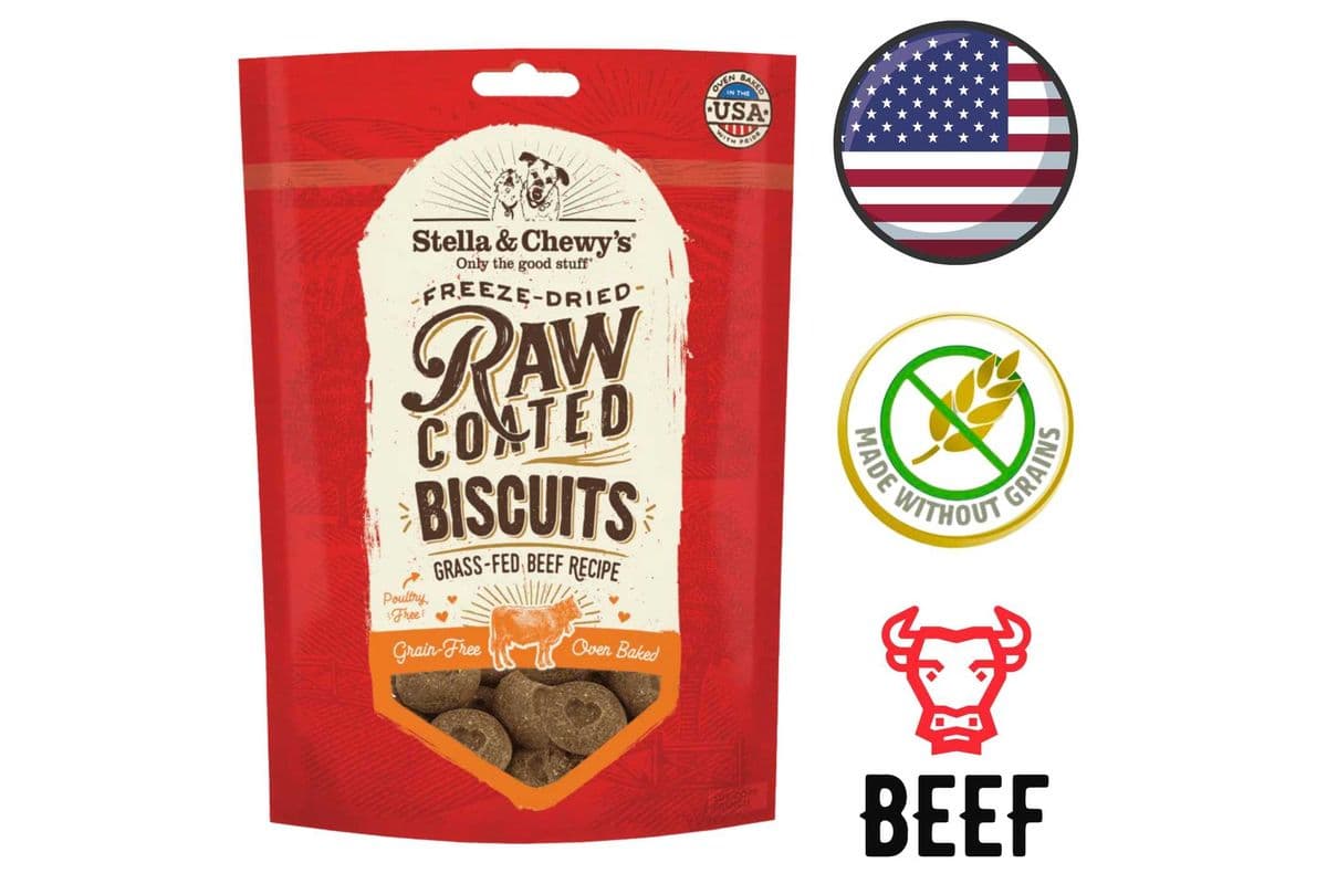 Stella & Chewy's - Grain Free Beef Raw Coated Biscuits Dog Treats - 9 Oz