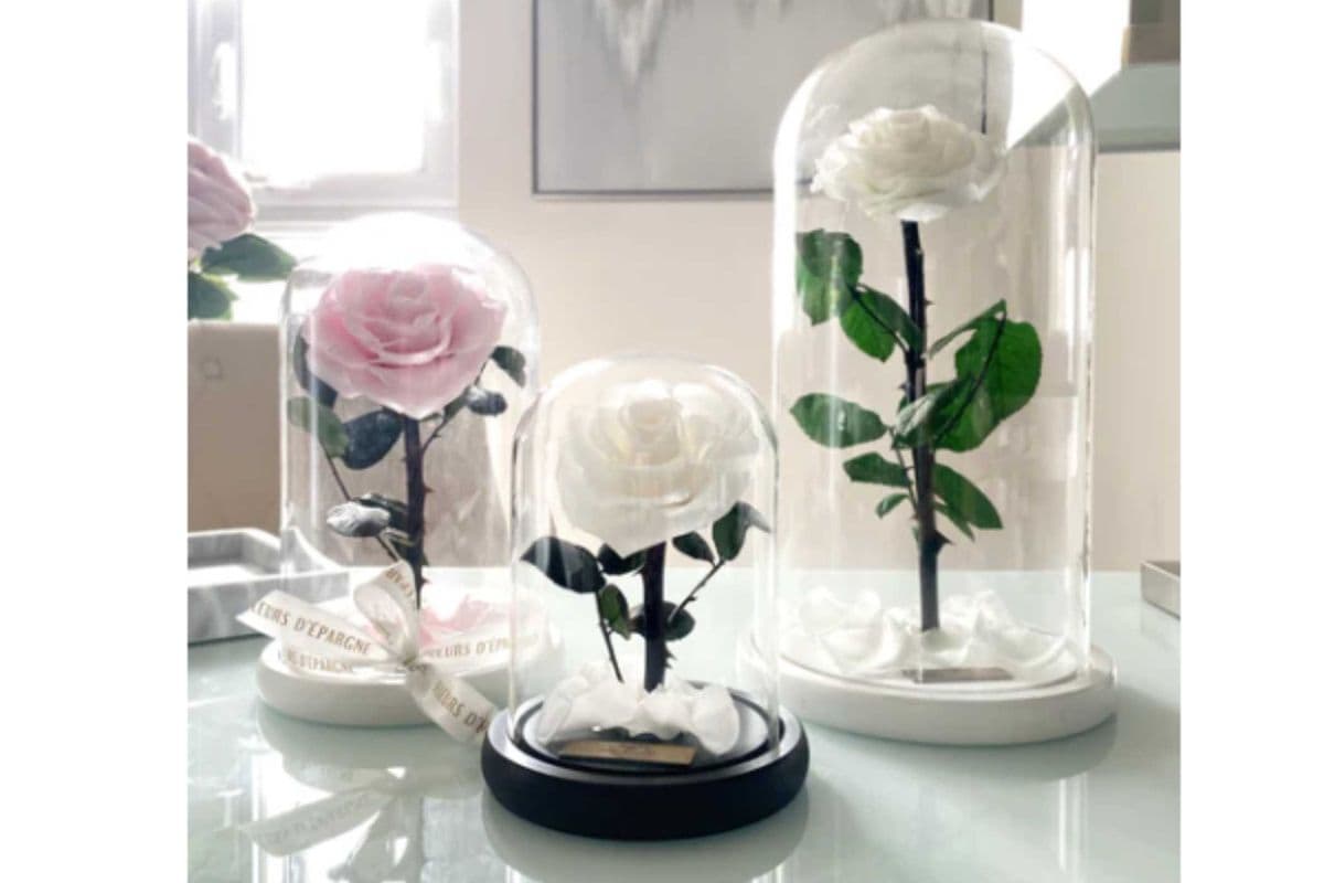 Enchanted Glass Dome (Medium) (12x20 cm)