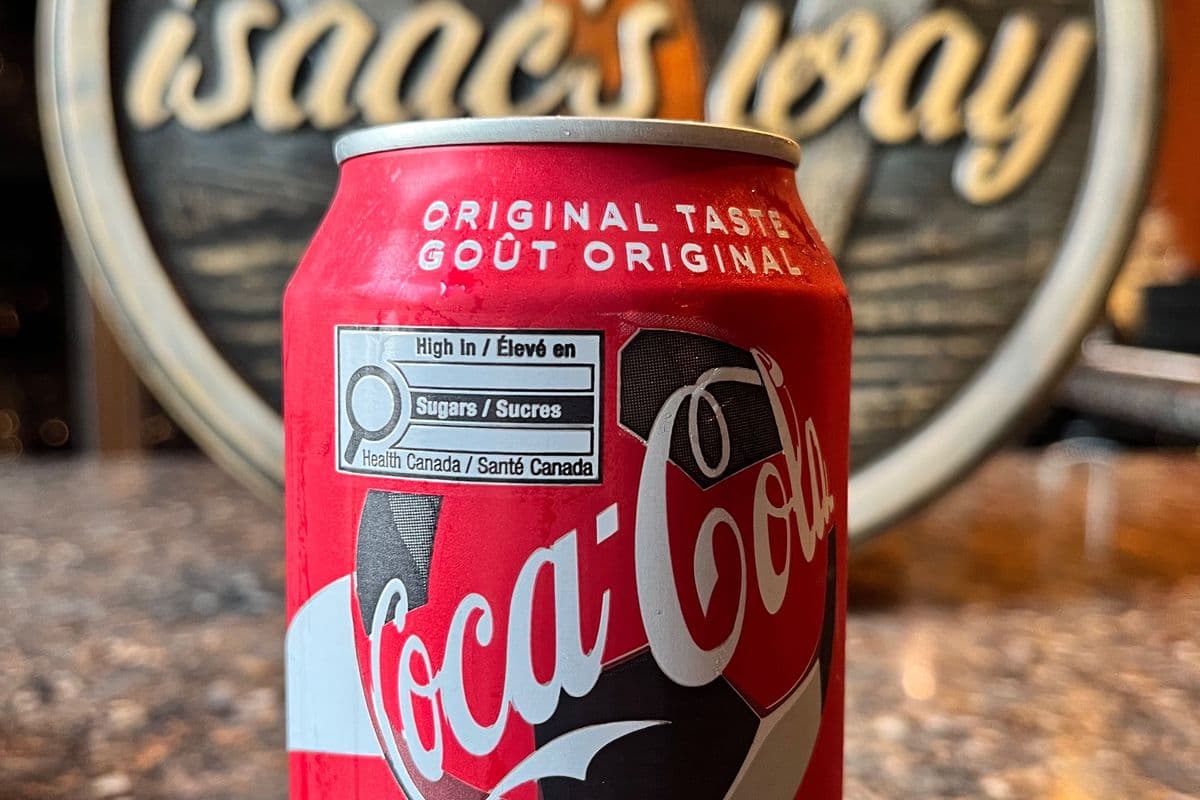 Coke can (355ml)