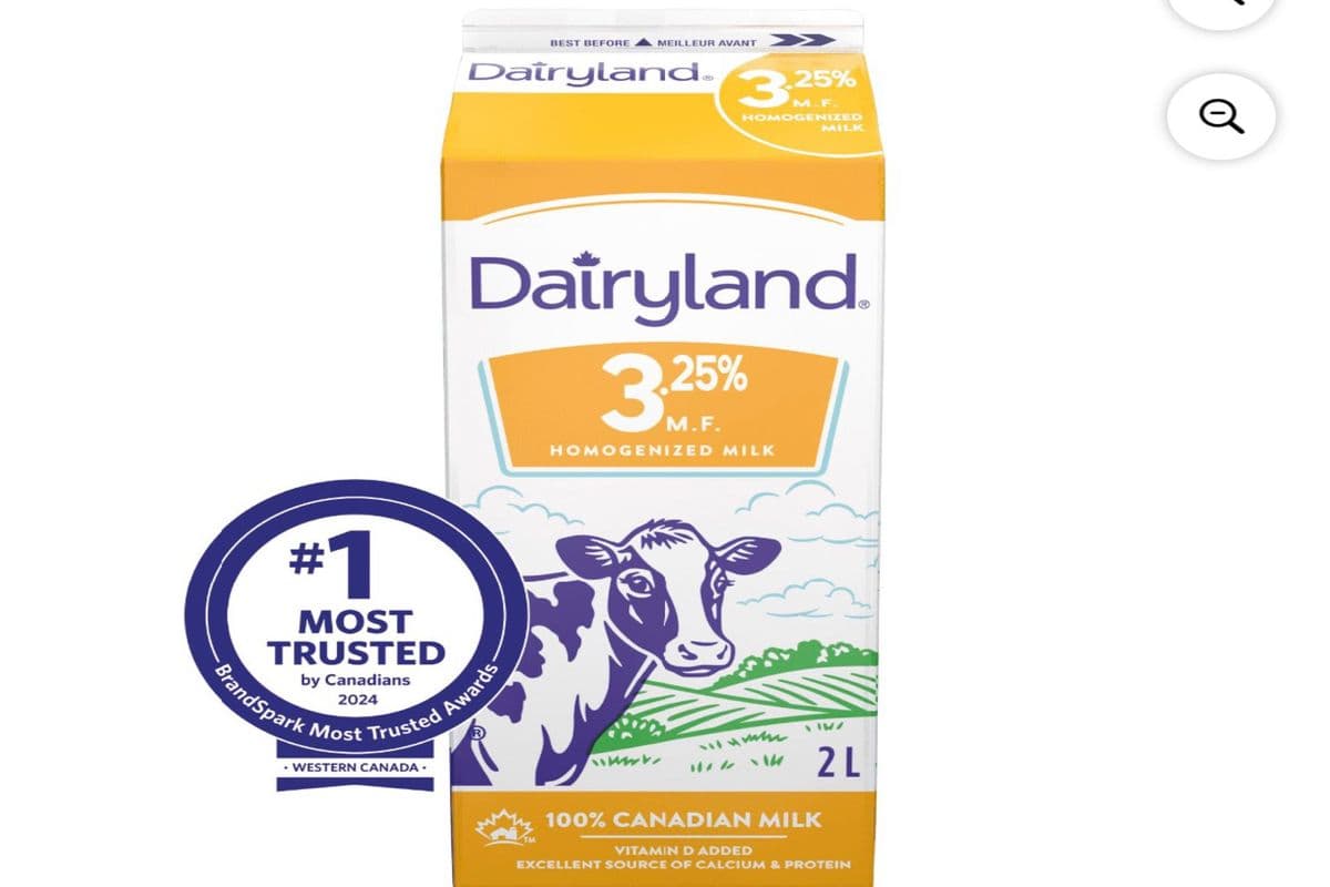 Dairyland (3.25%) Homogenized Milk Bottle (2L)