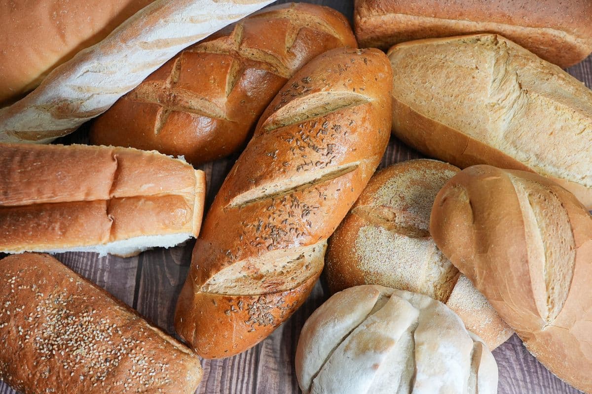 Whole Wheat Bread