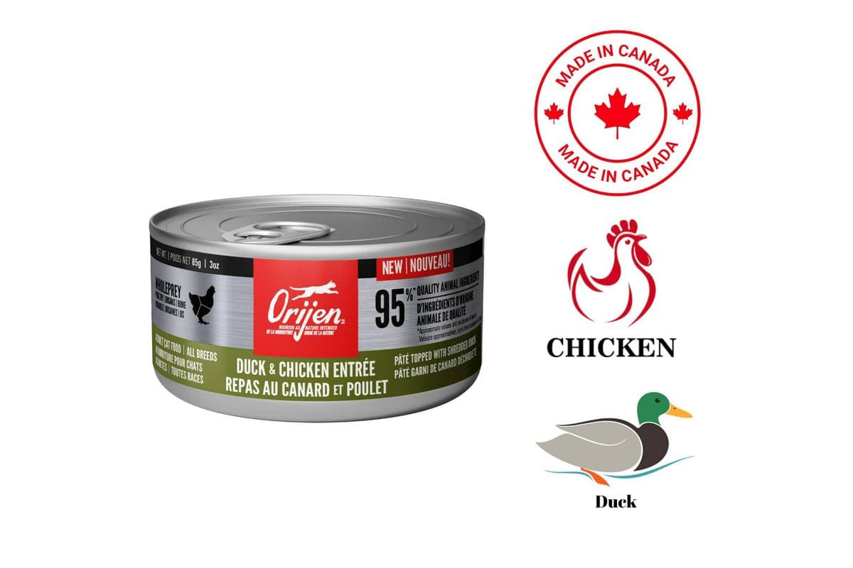 Orijen Duck & Chicken Entree Canned Cat Food (3 oz)