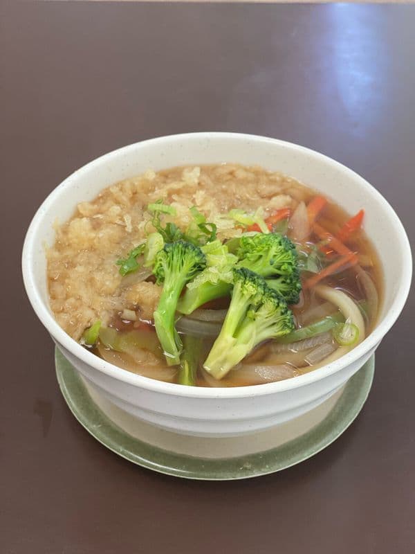 Vegetable Udon