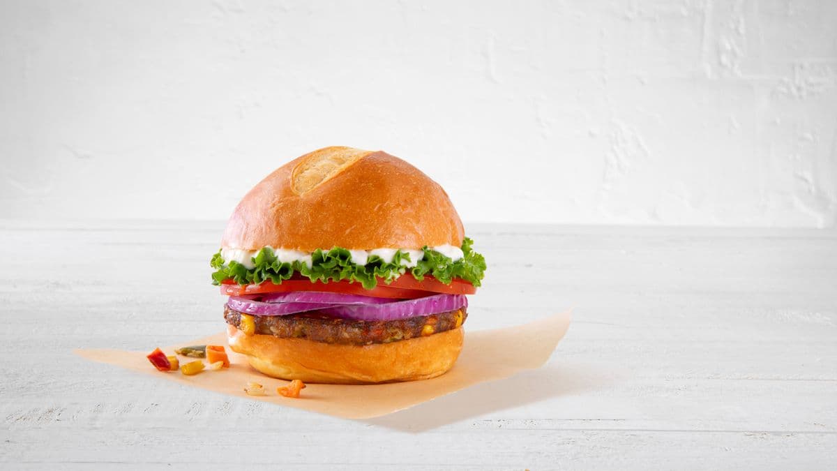 OL-Organic Veggie Burger