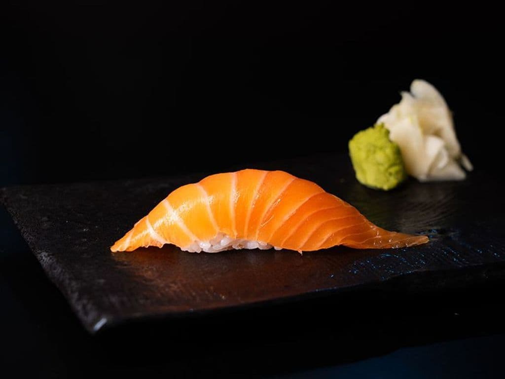 Salmon