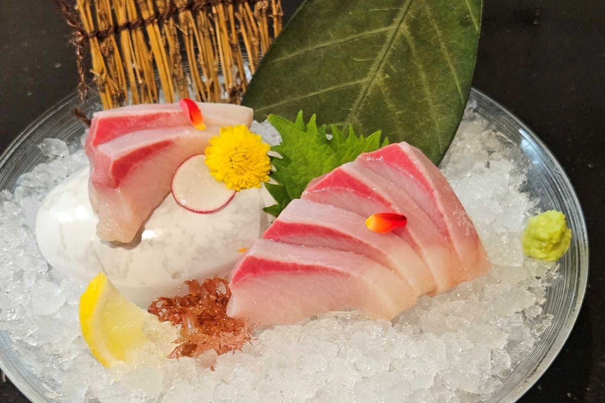 Hamachi Sashimi