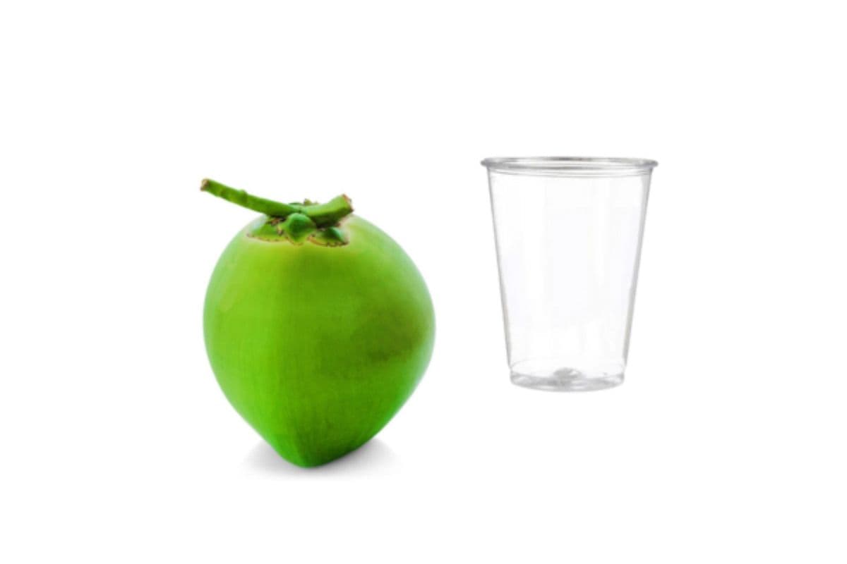 Tica Fresh Coconut Water (1 Cup)