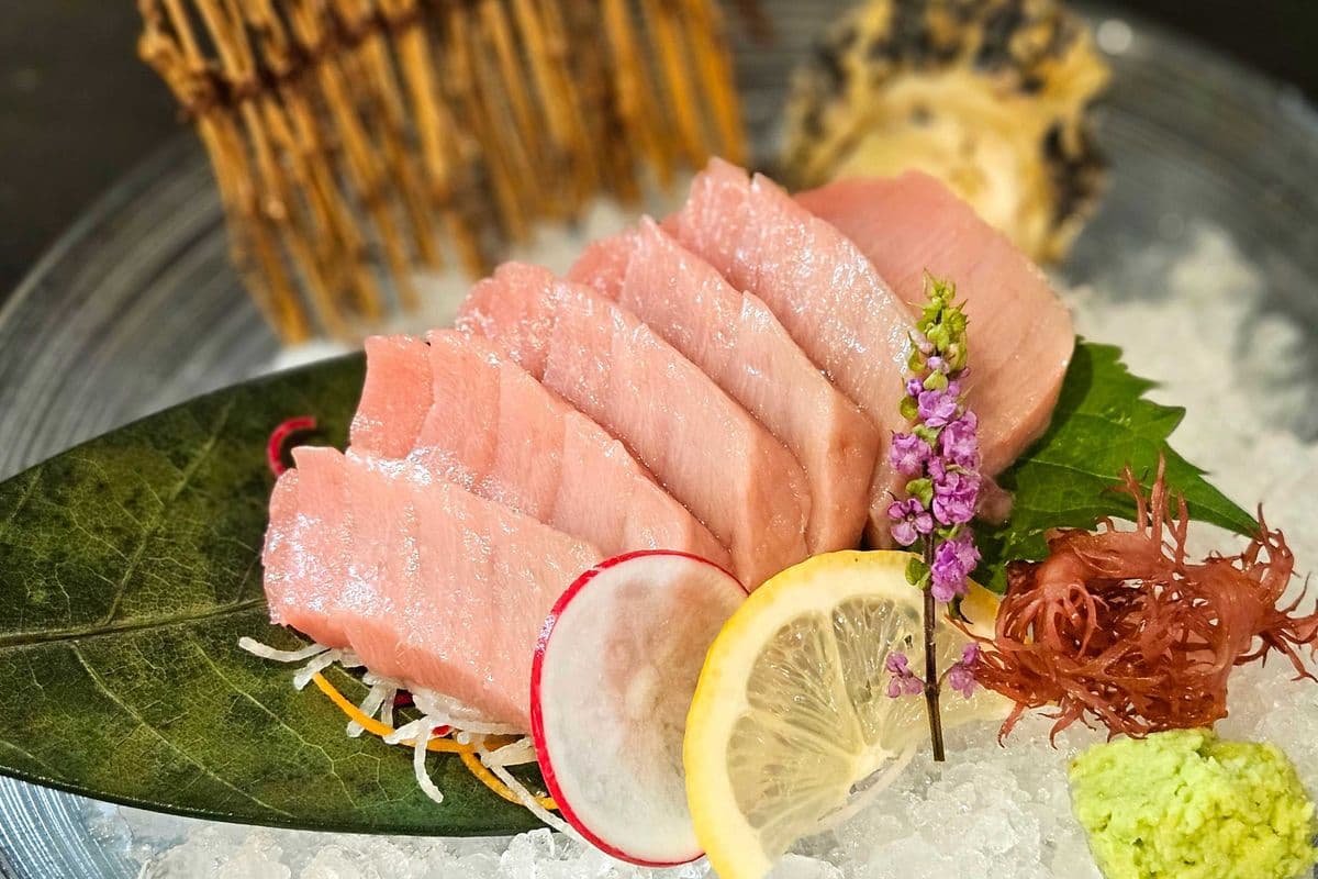 Chu-Toro Sashimi 3PCS