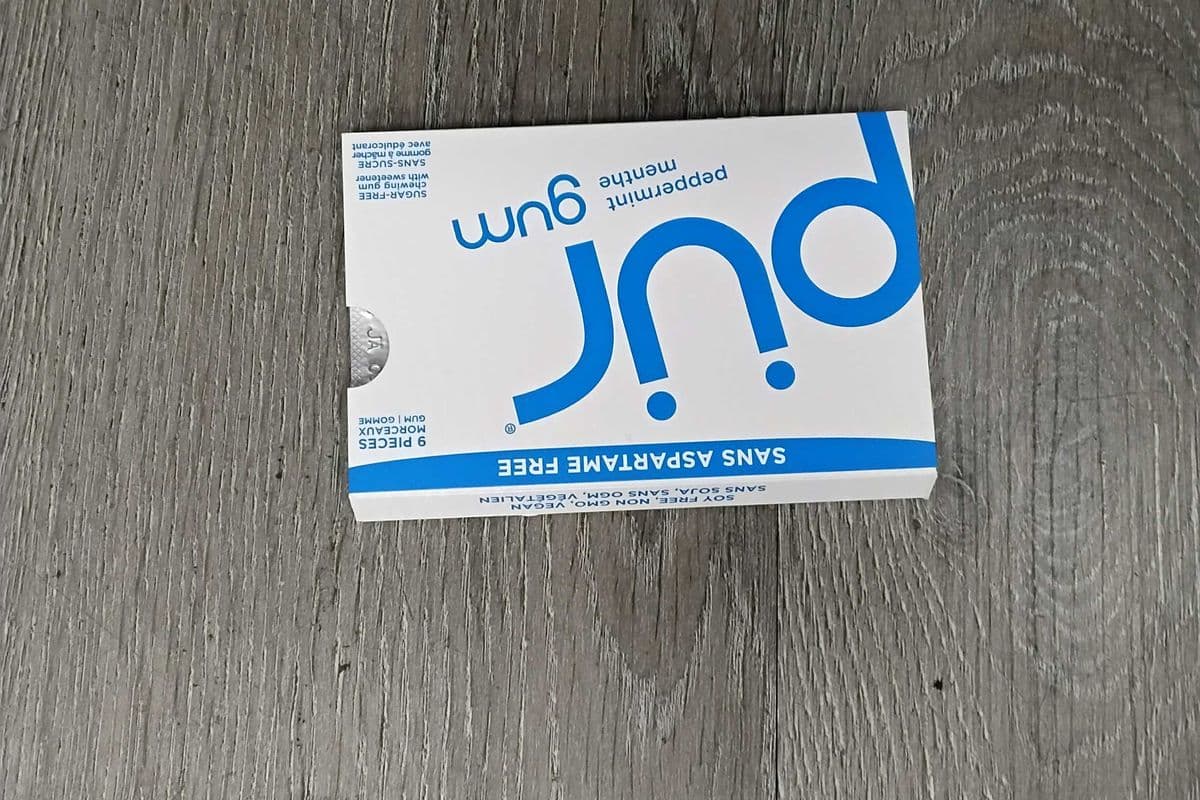 Pur peppermint gum (9 pieces )