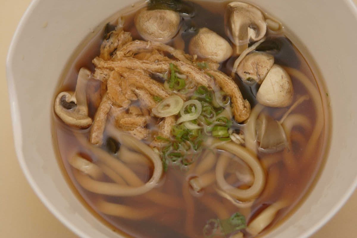 Vegetable Udon