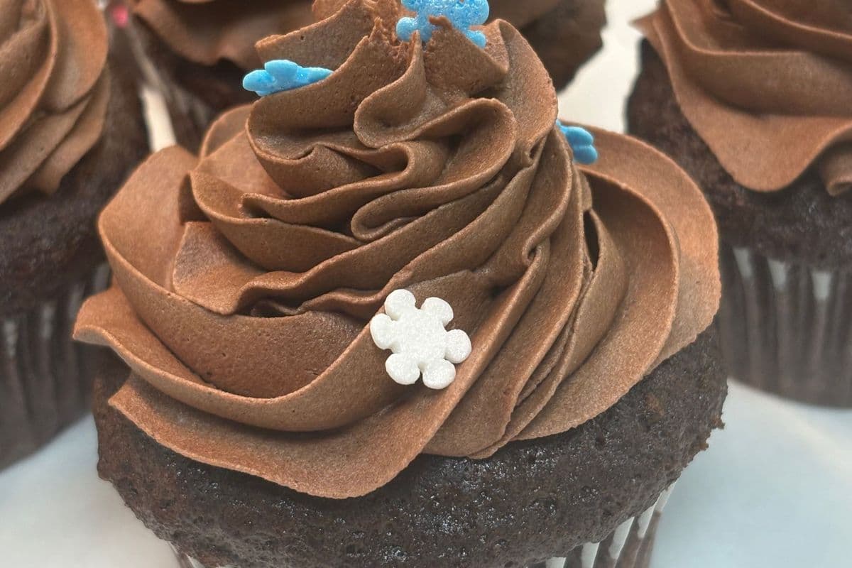 Chocolate Cupcakes