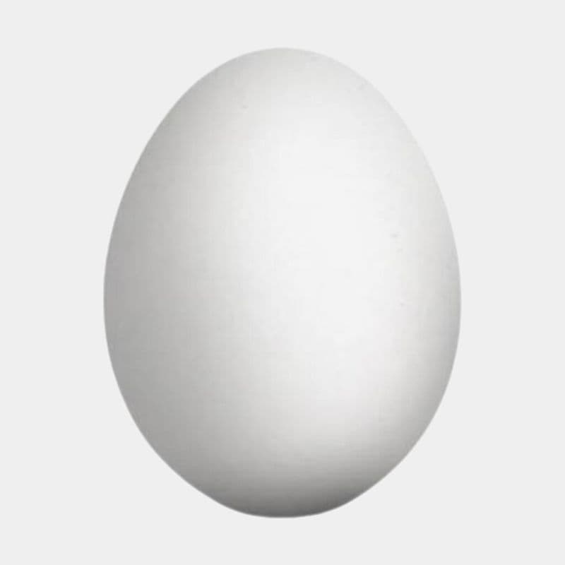 Oeuf / Egg