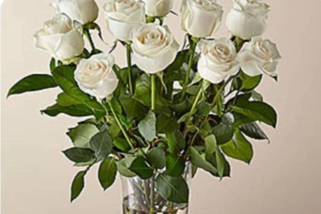 Long Stem White Rose Bouquet