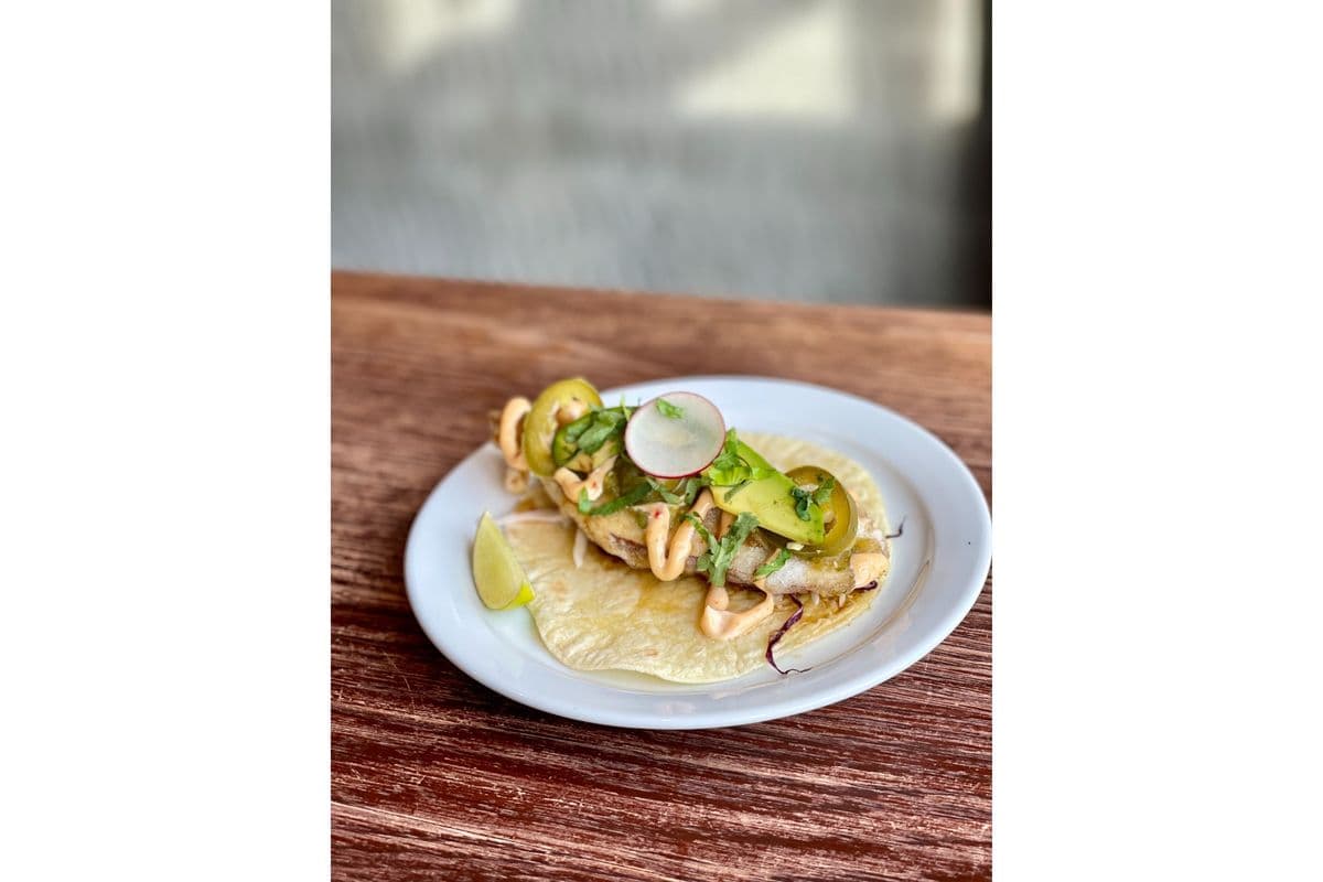 Japanese Eggplant Taco