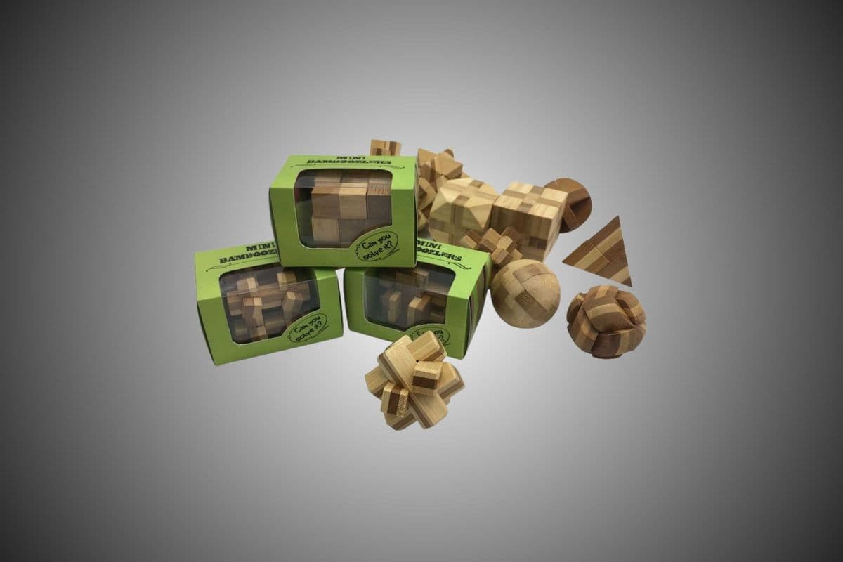 Burr Puzzle