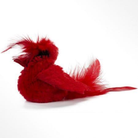 Our Pets Real Birds Fly Over Cardinal