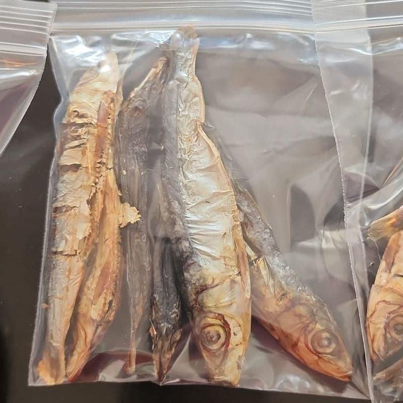 JT Pets Dehydrated Sardines 6 Pack