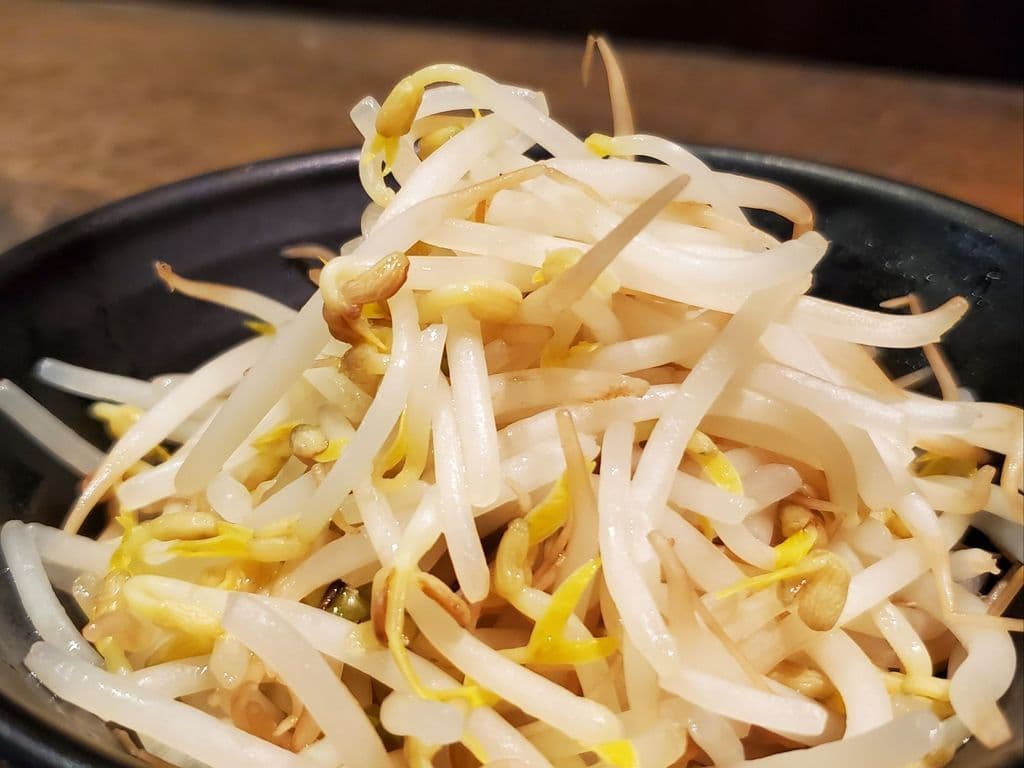 Bean Sprout