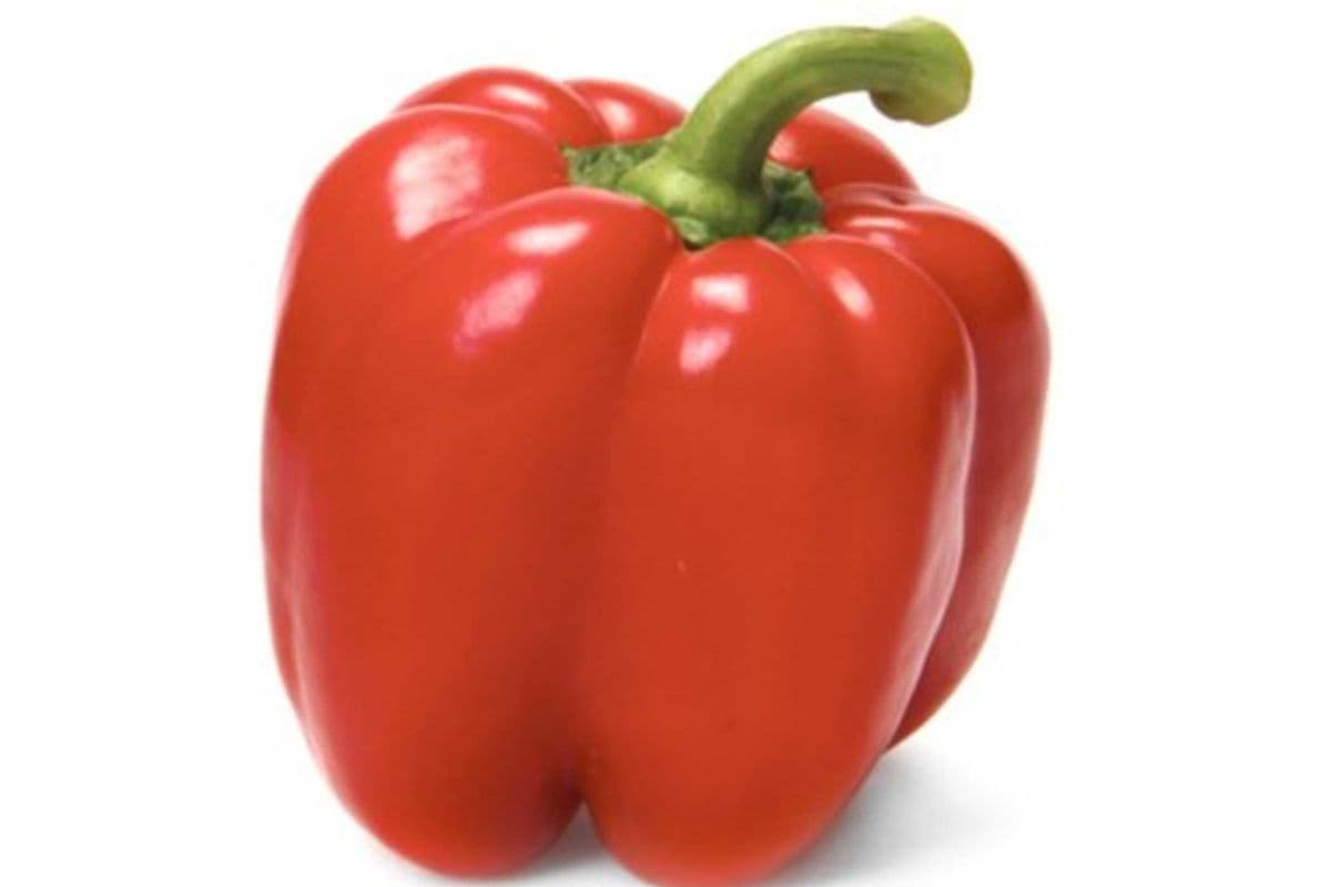 Red Bell Pepper Large (1 Each)