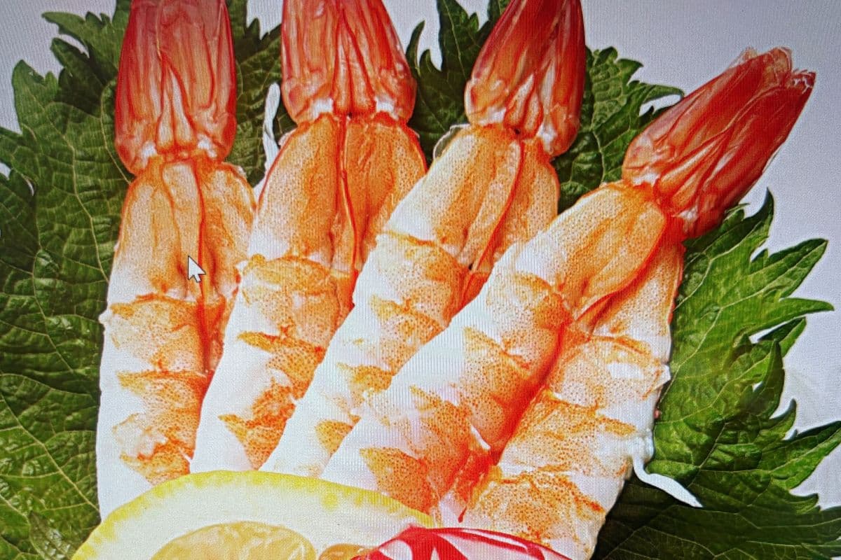 Shrimp Sashimi