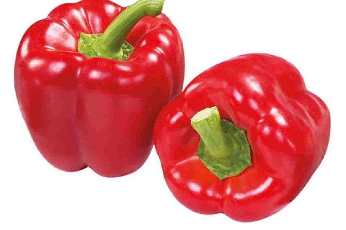 Red Bell Pepper