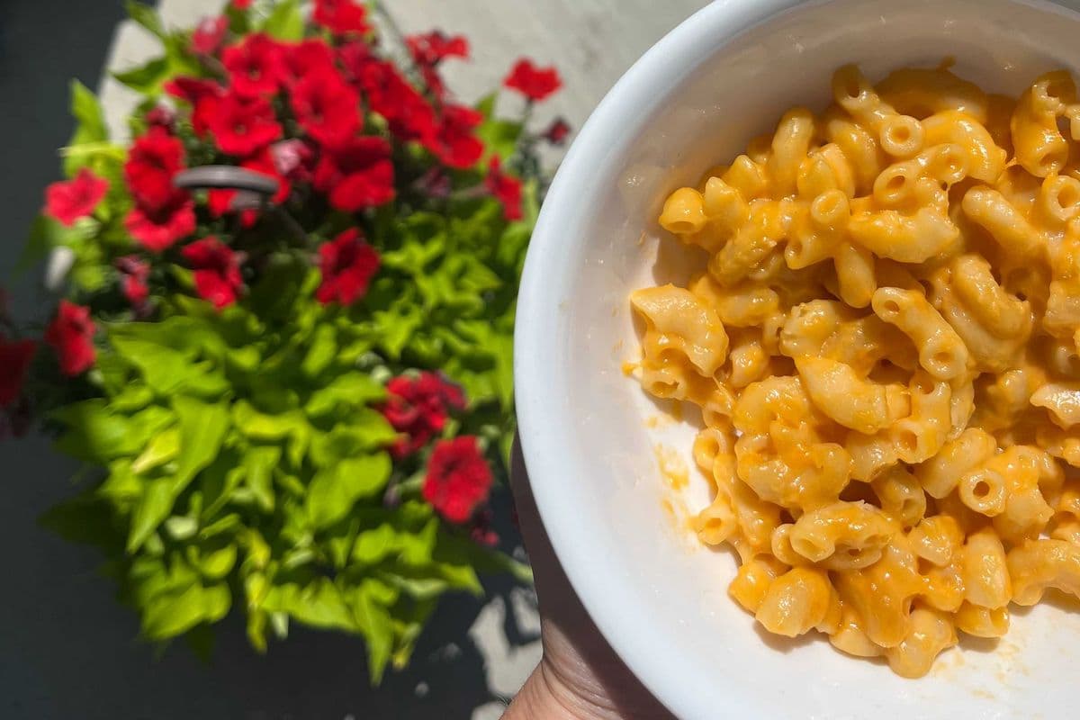 Mac N Cheese