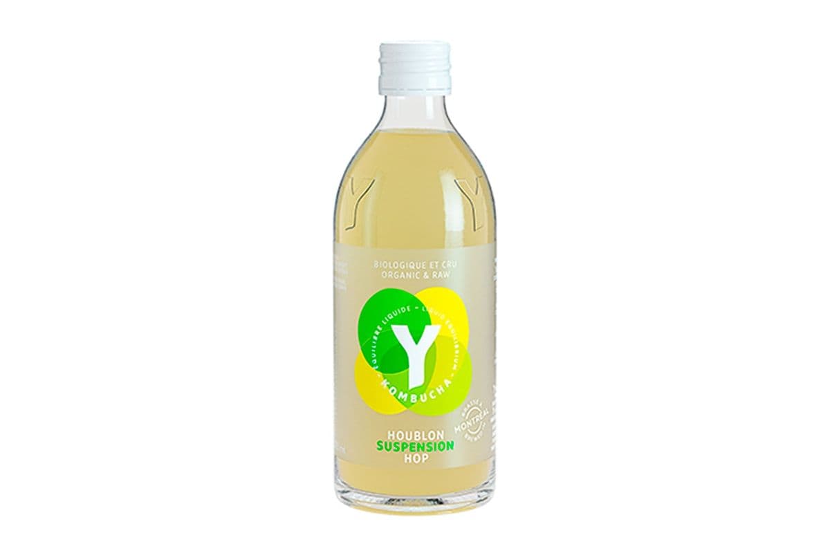 Y Kombucha