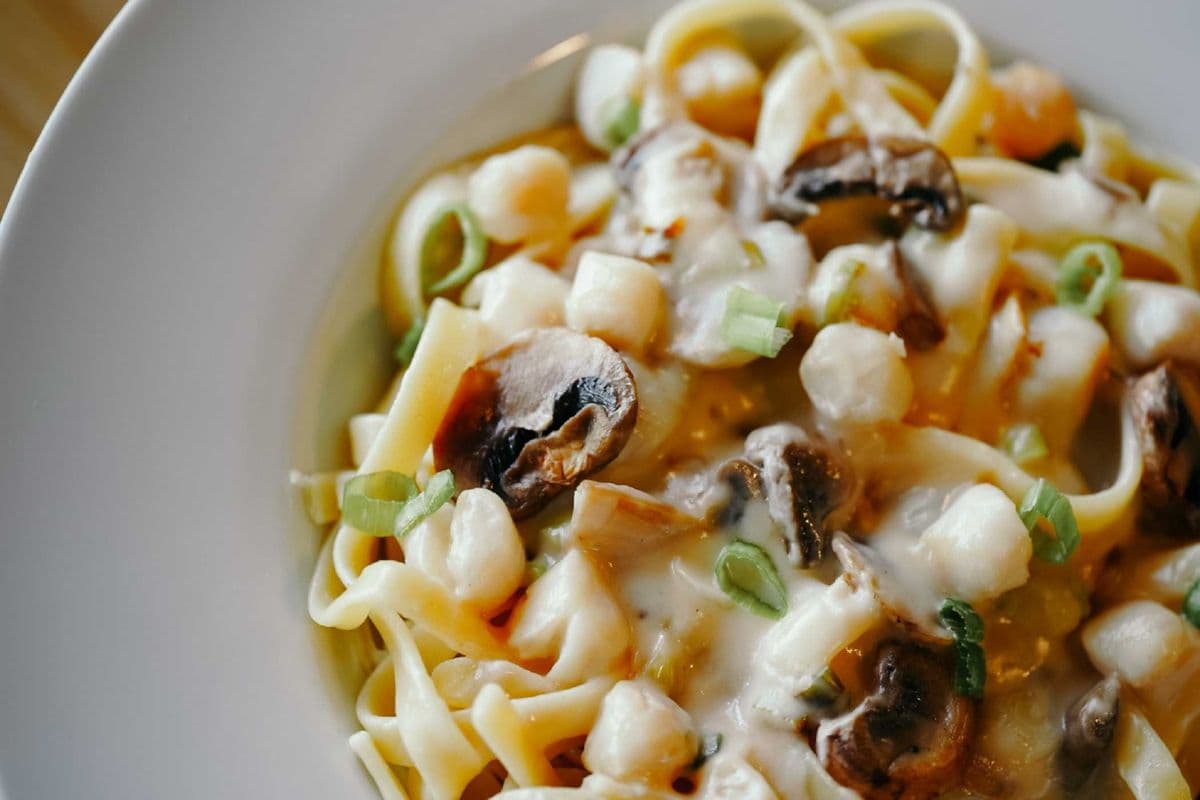 Small Alfredo Scallop Pasta