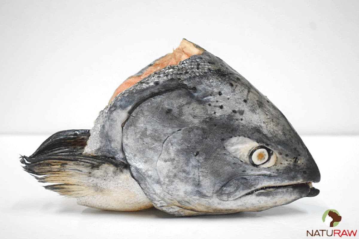 Salmon Head (1 piece)