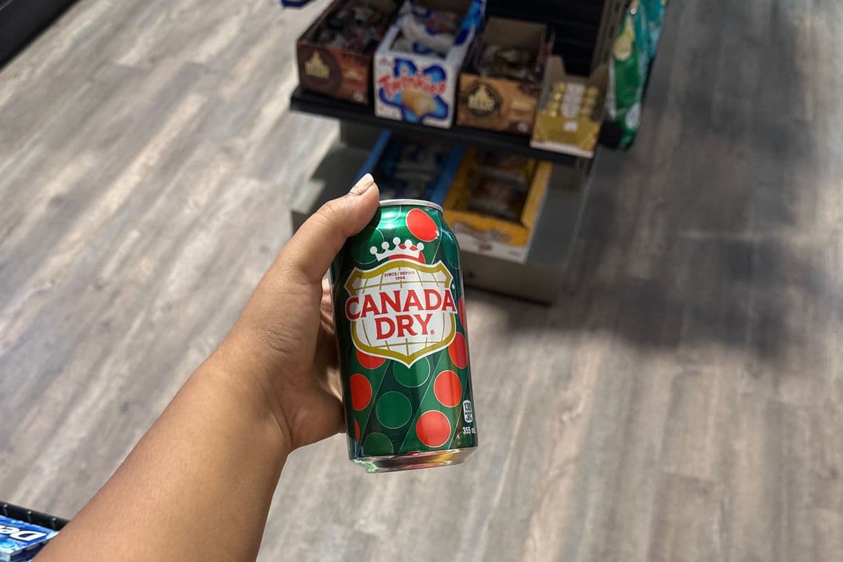 Canada Dry (355ml)