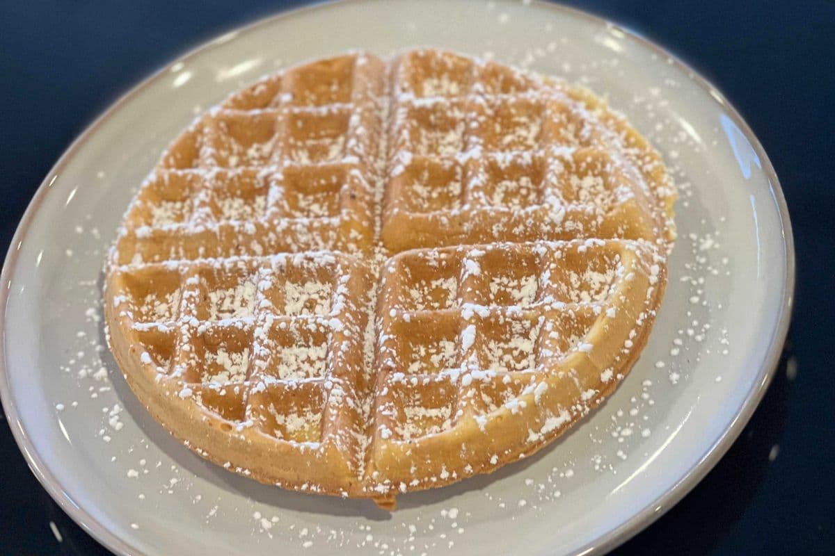Plain Waffle