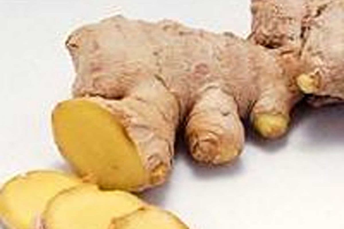 Gingembre (kg) / Ginger (kg)