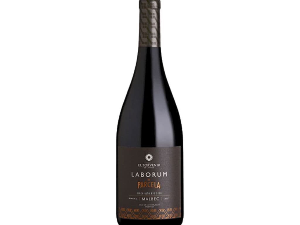 El Porvenir Parcela - Malbec