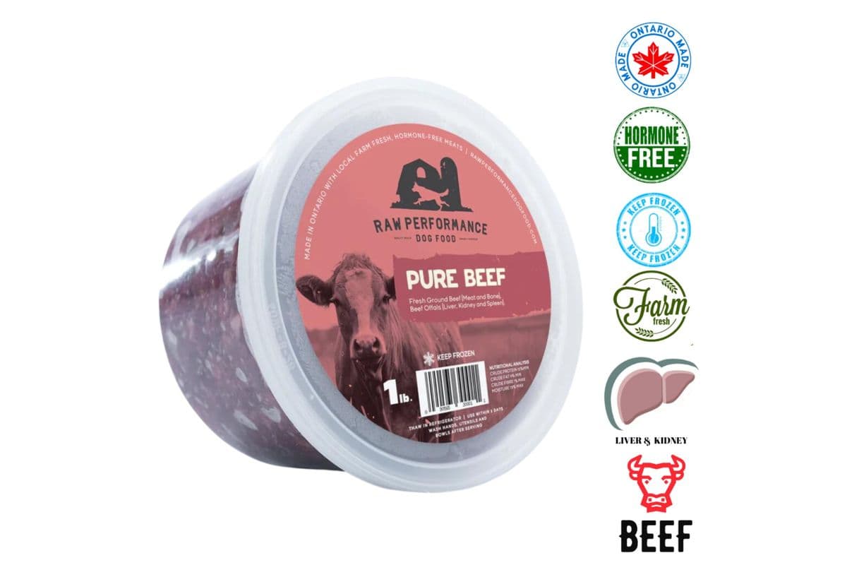 Raw Performance - Pure Beef Raw Dog Food (1 lb)