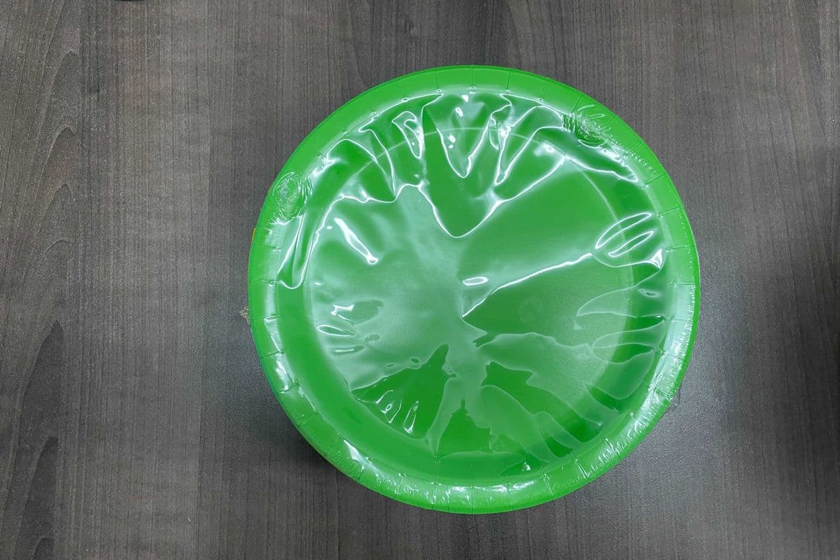 8 Lime Green 9" Plates (8 Pack)