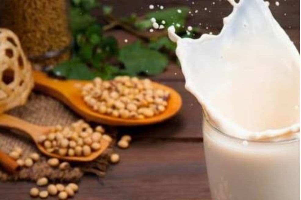 Y9. Very Rich Soy Milk 特濃豆漿