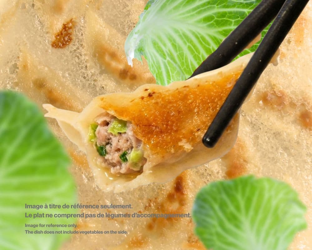 21.Pork & Cabbage Dumpling / Porc & Chou Gyoza