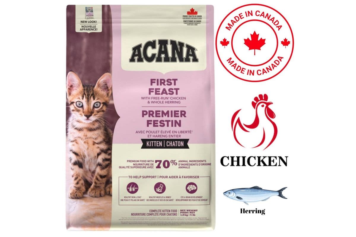 Acana First Feast Kitten Dry Cat Food (4 lbs)