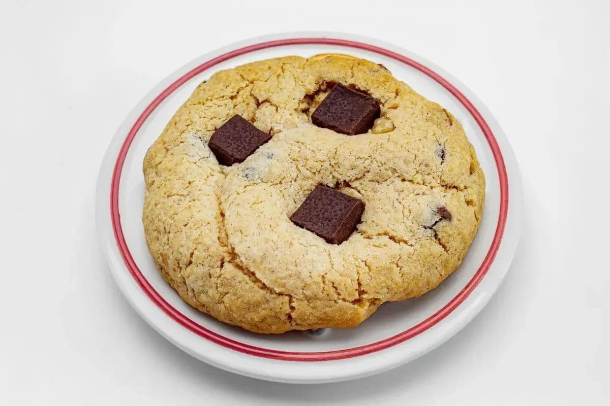 Rocky's chocolate chip cookie