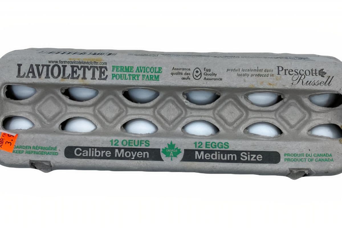 Laviolette oeufs moyens (12 pcs)