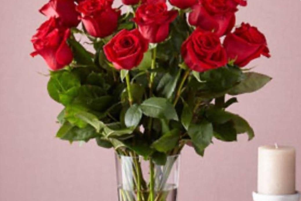 Red Roses Long Stem