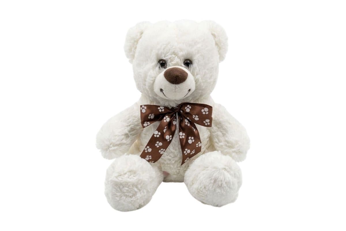 White Teddy Bear - Small
